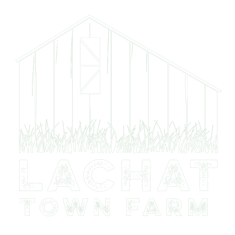 Lachat Logo